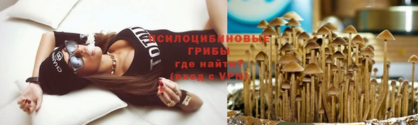 метамфетамин Алексеевка