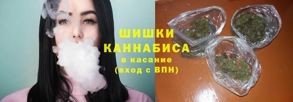 PSILOCYBIN Алагир