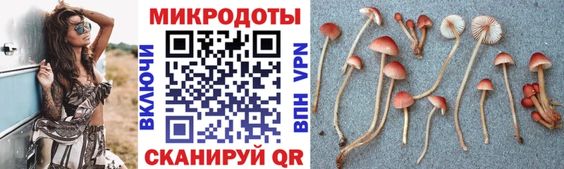 Псилоцибиновые грибы Cubensis  Беслан 