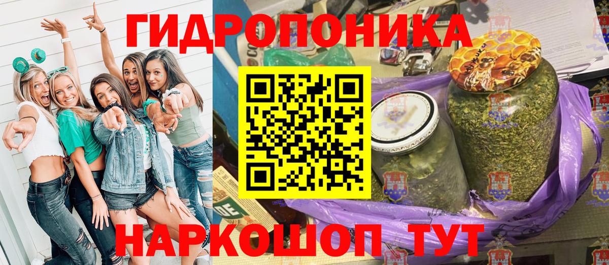 Бошки марихуана Bruce Banner  Марихуана гибрид  Беслан  Канабис марихуана  Вход с VPN 